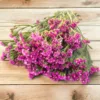 Sóvirág › Limonium Sinuatum › QIS Rose