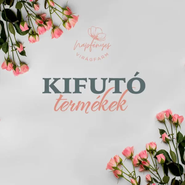 Kifutó termékek