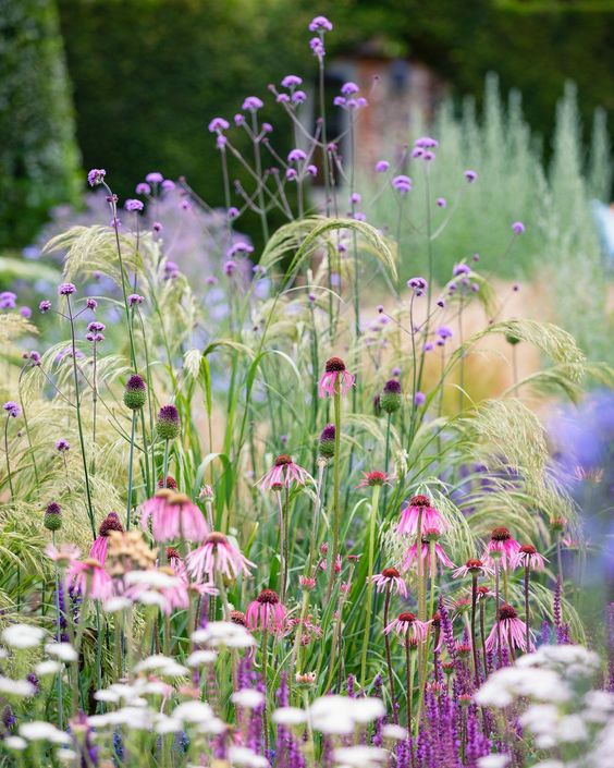 cottage garden_hirlevel