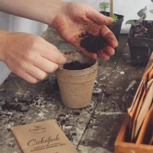 Virágmagok ültetése ősszel