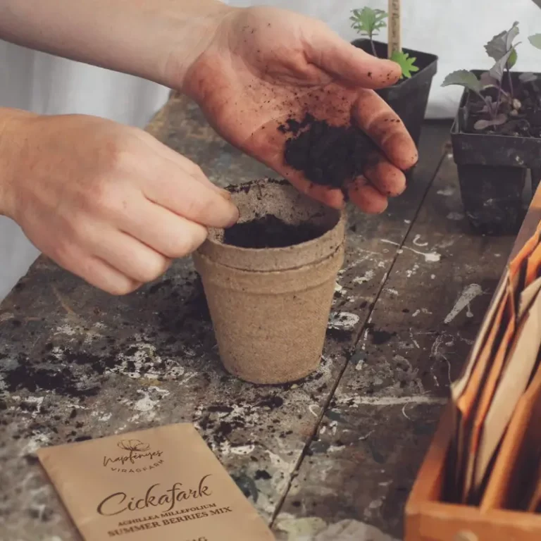 Virágmagok ültetése ősszel