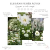 Elegáns Fehér Vegyes Ágyás › Virágmag Keverék