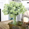 Jégvirág › Euphorbia Marginata › Snow on the Mountain - Image 5
