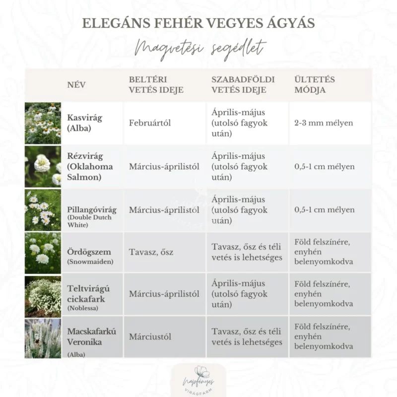 Elegáns Fehér Vegyes Ágyás › Virágmag Keverék