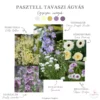Pasztell Tavaszi Ágyás › Virágmag Keverék