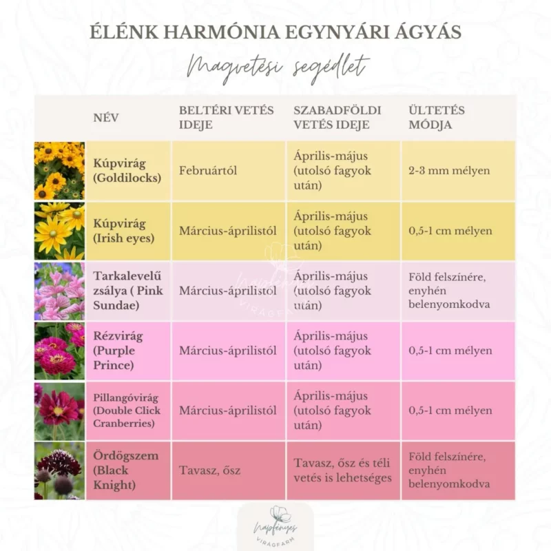 Élénk Harmónia Egynyári Ágyás › Virágmag Keverék