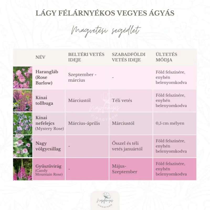 Romantikus Egynyári Ágyás › Virágmag Keverék