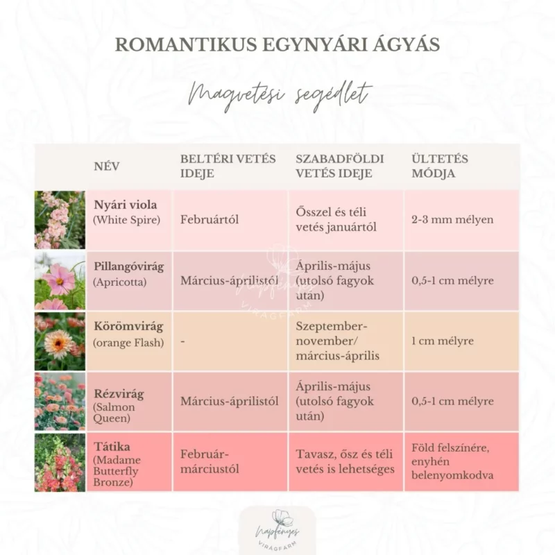 Romantikus Egynyári Ágyás › Virágmag Keverék
