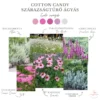 Cotton Candy Szárazságtűrő Ágyás › Virágmag Keverék