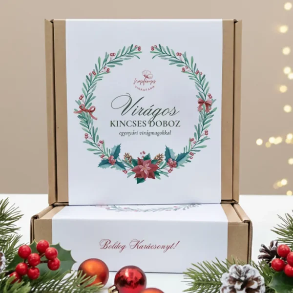 Egynyári Kincses Doboz – Limitált Karácsonyi Kiadás