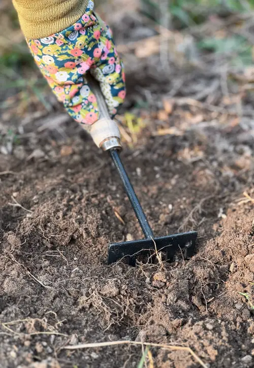 Napfényes Virágfarm