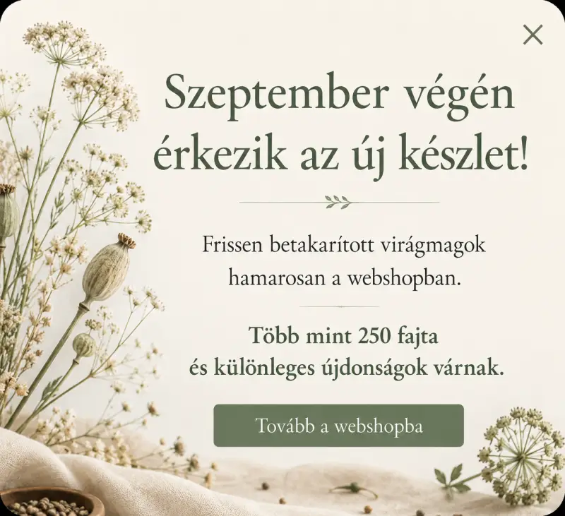 Szeptemberi készletfeltöltés